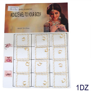 12 PCS Faux Nose Ring