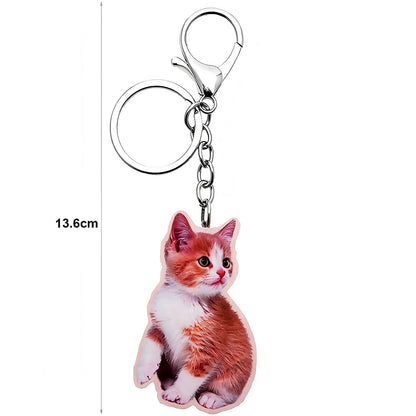 Assorted Kittens Keychain