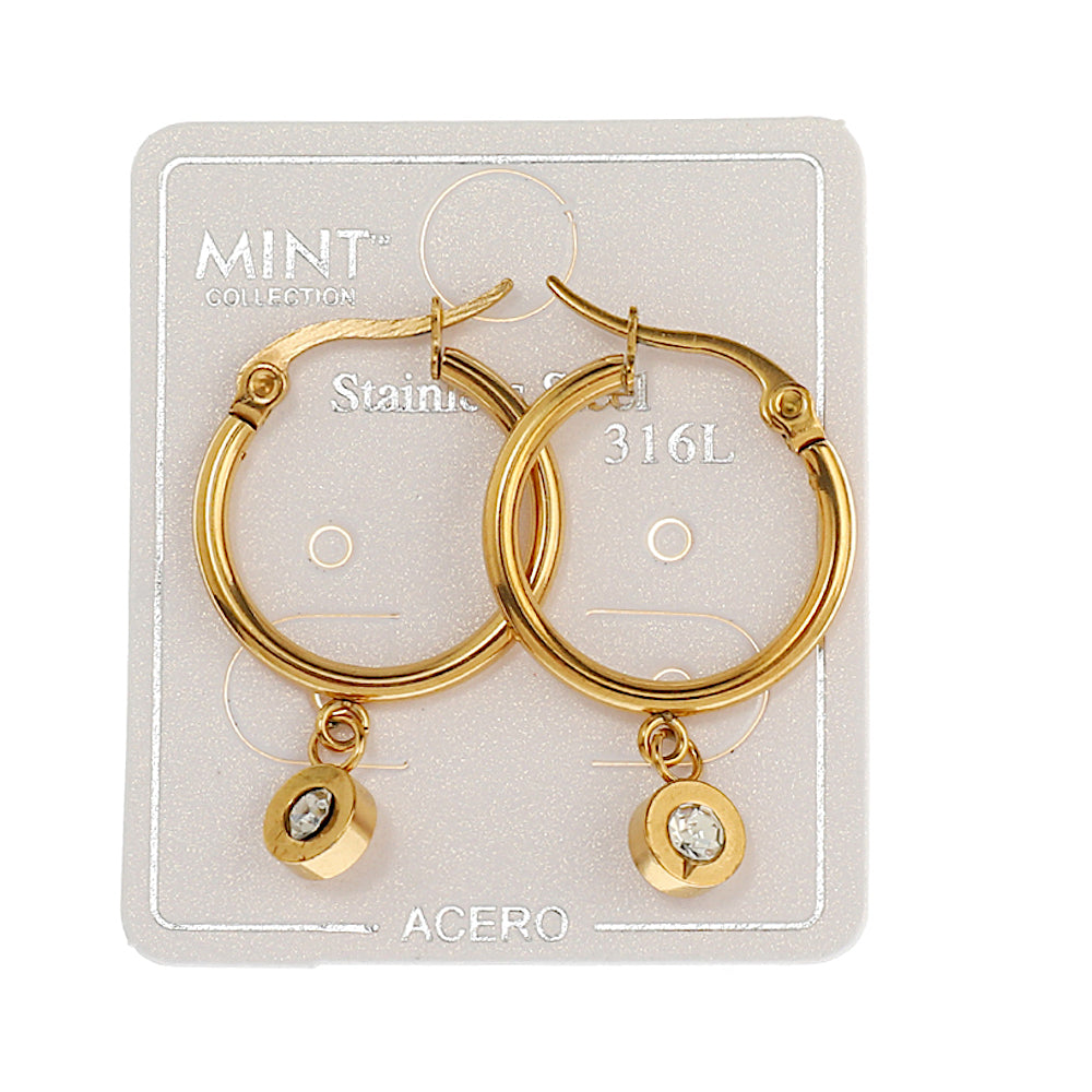 TE1801 - Stainless Steel Stone Charm Hoops