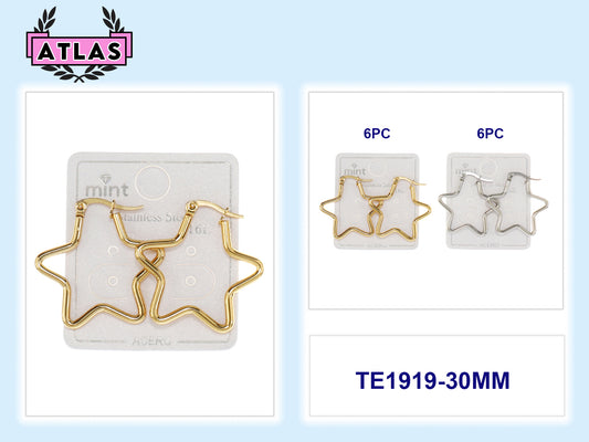 TE1919-30MM - Stainless Steel Star 30MM Hoops