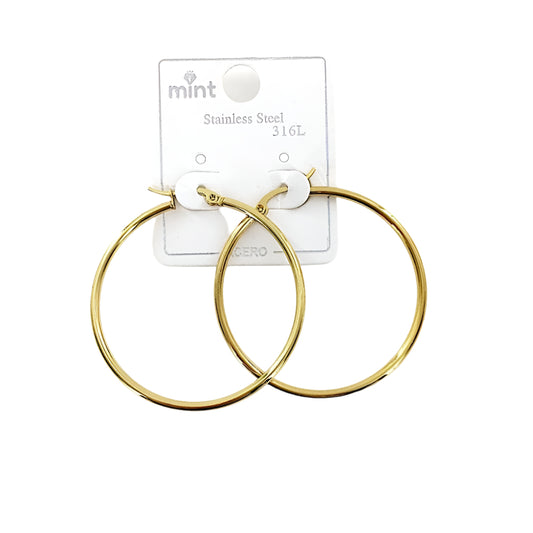 TE5000 - 40MM Stainless Steel Hoops