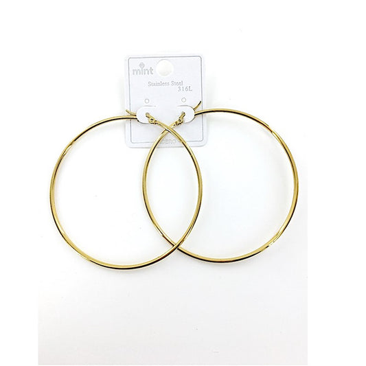 TE5000 - 70MM Stainless Steel Hoops